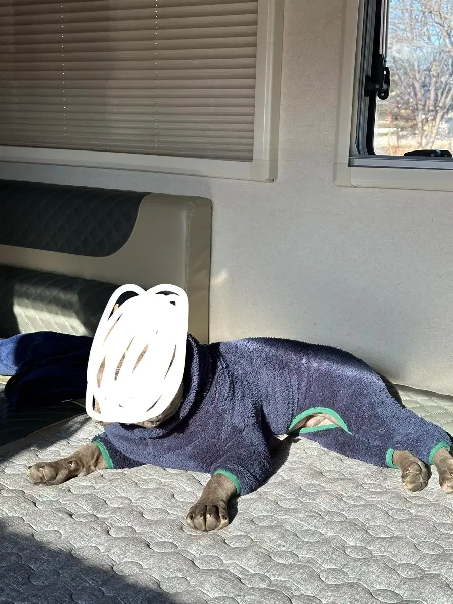 thumbnail-7